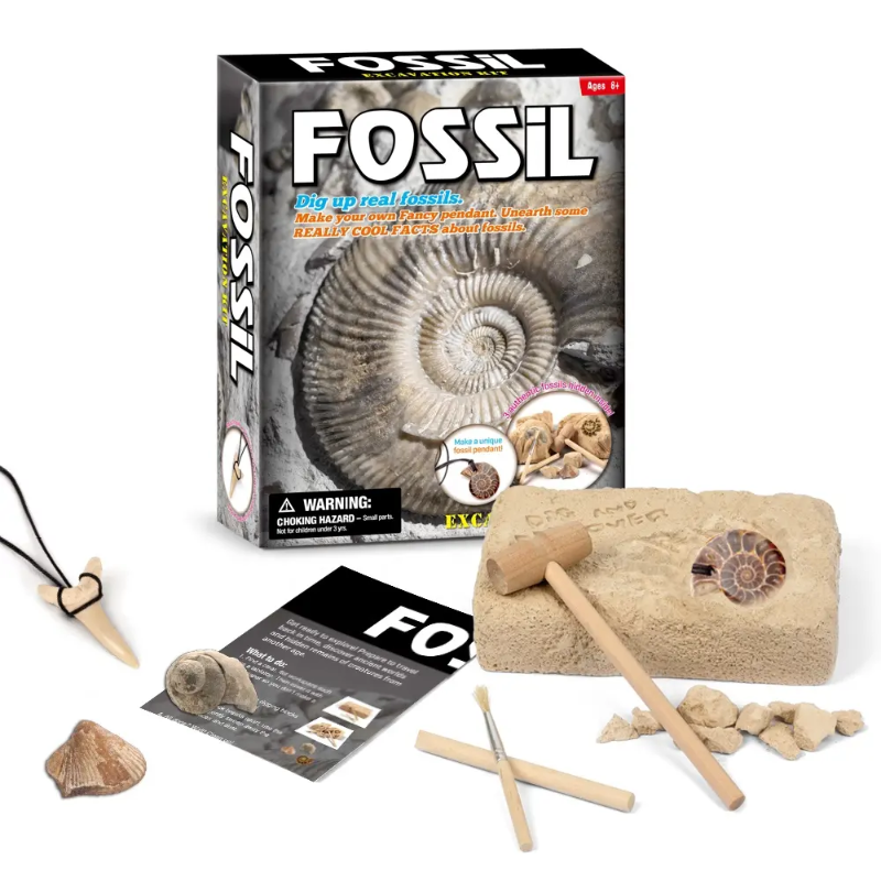 Fossil Digging Kit